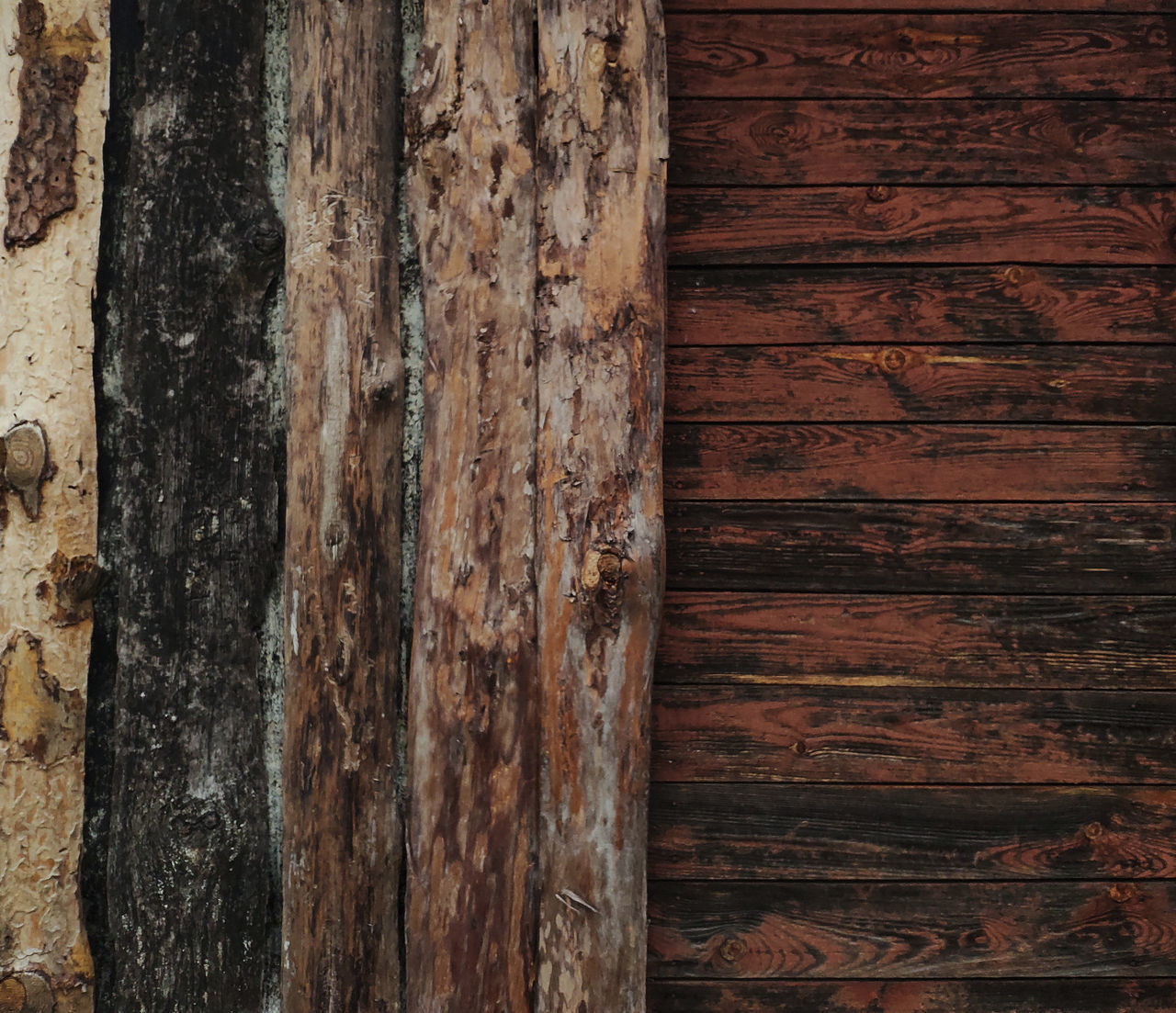 FULL FRAME SHOT OF TREE TRUNK AGAINST WALL