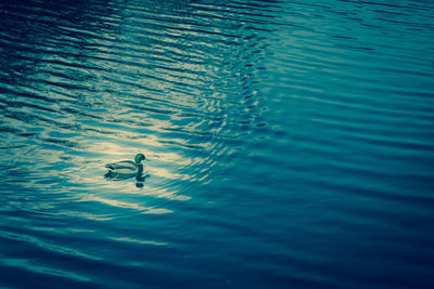 View of calm sea