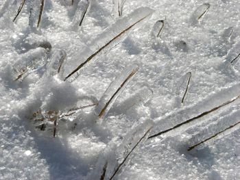 High angle view of snowflakes on snow