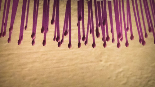 Full frame shot of multi colored pencils