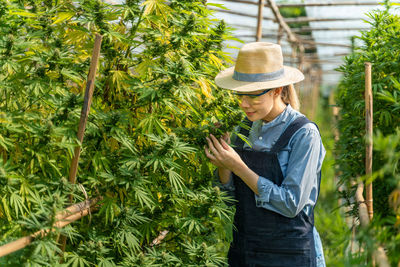 Rear view of woman standing amidst plants