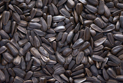 Full frame shot of sunflower seeds