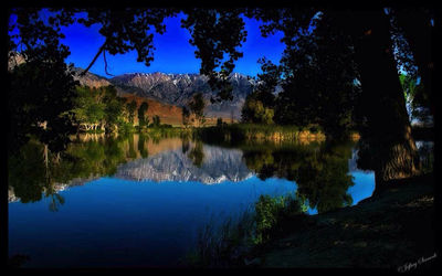 Reflection of trees in calm lake