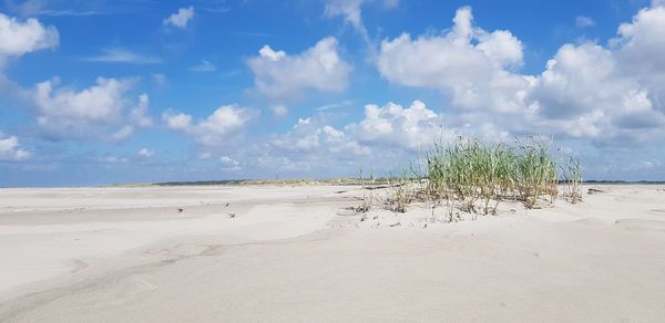 Scenic view of beach against sky