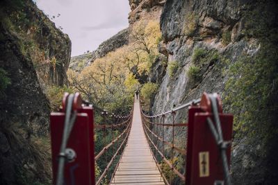 Footbridge amidst trees by mountain