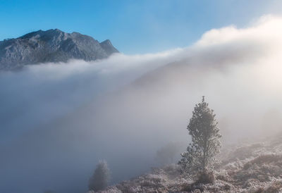 Scenic view of mountains against sky during winter