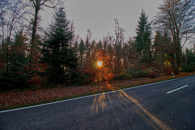 Empty road in forest during autumn