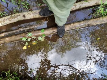 Low section of person standing on puddle