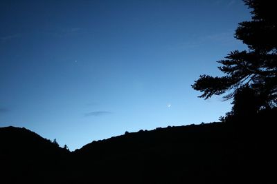 Low angle view of silhouette trees against blue sky