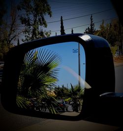 Silhouette palm trees against sky seen through car windshield