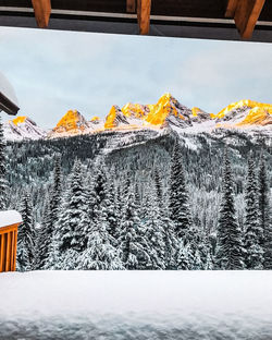 House on snow