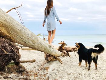 Full length of woman standing on fallen tree trunk at beach