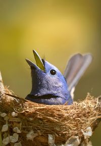 Beauty of nature