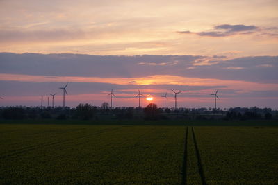 Scenic view of field against sky during sunset