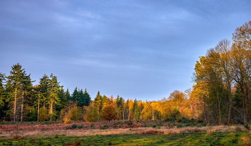 Scenic view of field against cloudy sky