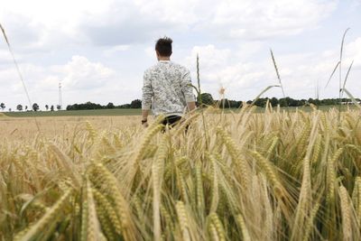 Crop on field against cloudy sky