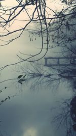 Reflection of tree in lake against sky