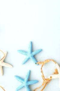 High angle view of crab over white background