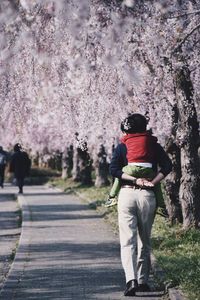 Rear view of man carrying daughter walking on road by flowering trees