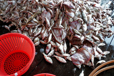 High angle view of fish for sale in market