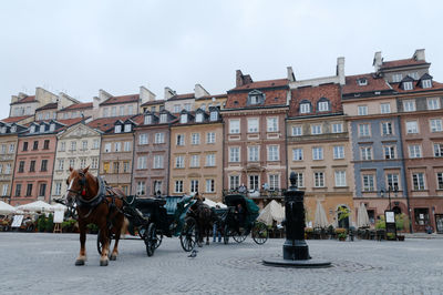 Horse carts on street by buildings