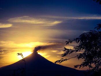 Low angle view of silhouette plants against sky