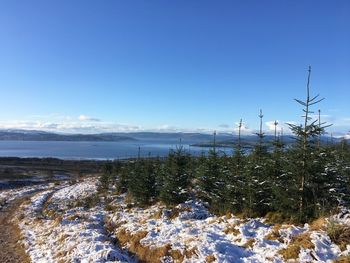 Scenic view of landscape against blue sky during winter