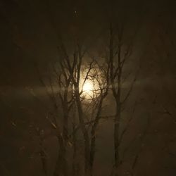 Low angle view of silhouette trees against sky at night