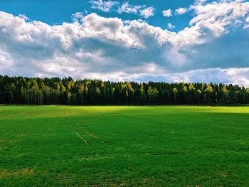 Scenic view of trees on field against sky