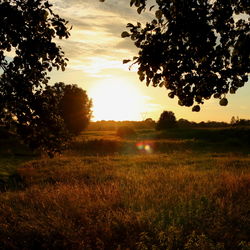 Scenic view of field against sky during sunset