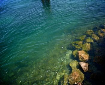 Full frame shot of water