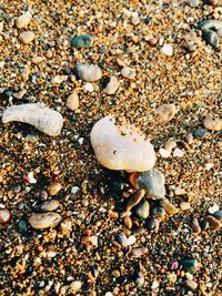 Pebbles on beach