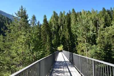 Footbridge amidst trees in forest against clear sky