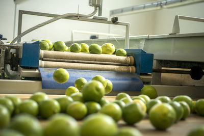 Close-up of fruits in container