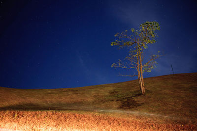 View of trees on landscape against blue sky