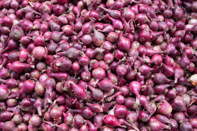 Full frame shot of onions for sale at market