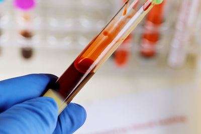 Close-up of hand holding test tube