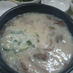 Close-up of food in bowl