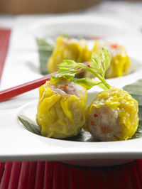 Close-up of dumplings served in plate