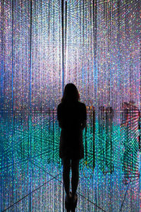 Rear view of silhouette woman standing against multi colored lights