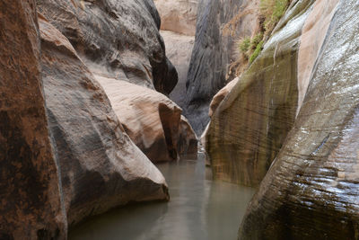 Flooded passageway in halls creek narrows, capitol reef backcountry.