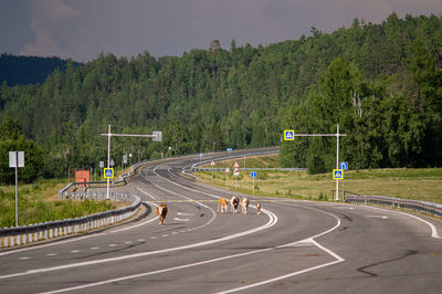 Road by trees against sky