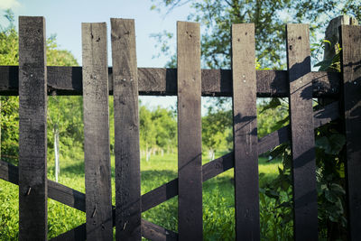 Close-up of cemetery on field