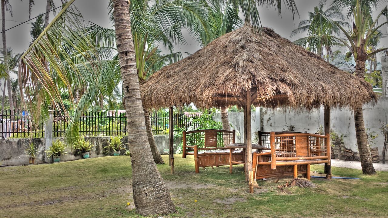 tree, palm tree, tree trunk, growth, built structure, building exterior, architecture, grass, green color, tranquility, nature, sky, day, thatched roof, chair, outdoors, absence, no people, beach, branch