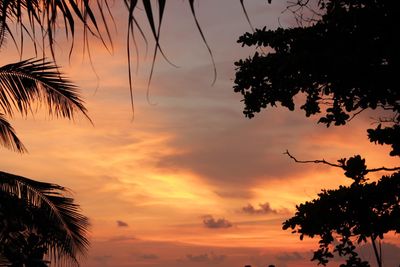 Low angle view of silhouette tree against orange sky