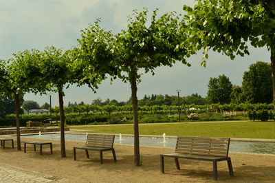 Empty bench in park