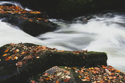 Scenic view of waterfall