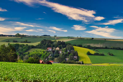 Scenic view of agricultural field against sky