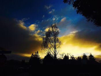 Low angle view of silhouette trees against sky during sunset