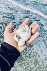 Midsection of person holding seashell in sea